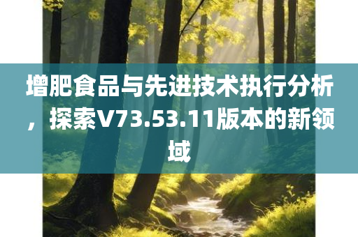 增肥食品与先进技术执行分析，探索V73.53.11版本的新领域