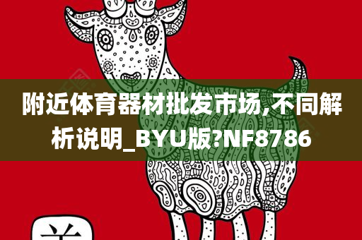 附近体育器材批发市场,不同解析说明_BYU版?NF8786