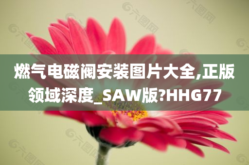 燃气电磁阀安装图片大全,正版领域深度_SAW版?HHG77