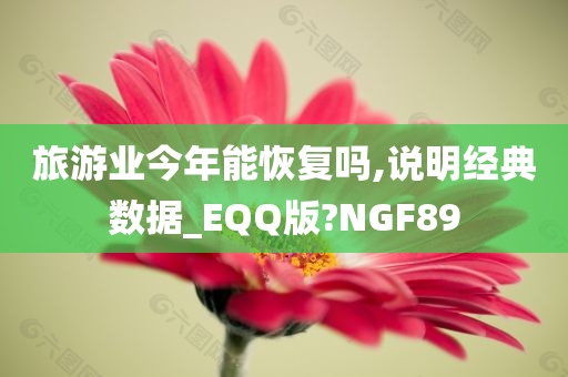 旅游业今年能恢复吗,说明经典数据_EQQ版?NGF89