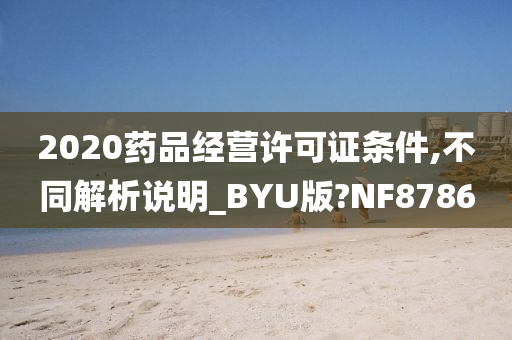 2020药品经营许可证条件,不同解析说明_BYU版?NF8786