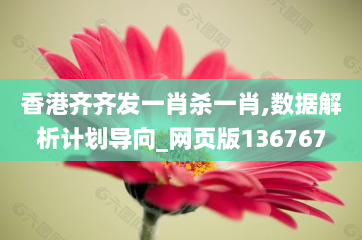 香港齐齐发一肖杀一肖,数据解析计划导向_网页版136767