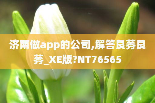 济南做app的公司,解答良莠良莠_XE版?NT76565