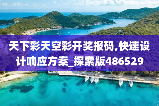 天下彩天空彩开奖报码,快速设计响应方案_探索版486529