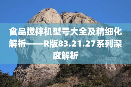 食品搅拌机型号大全及精细化解析——R版83.21.27系列深度解析