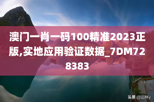 澳门一肖一码100精准2023正版,实地应用验证数据_7DM728383