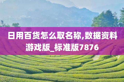 日用百货怎么取名称,数据资料游戏版_标准版7876