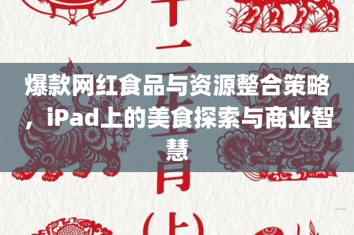 爆款网红食品与资源整合策略，iPad上的美食探索与商业智慧