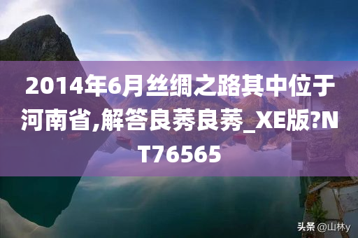 2014年6月丝绸之路其中位于河南省,解答良莠良莠_XE版?NT76565