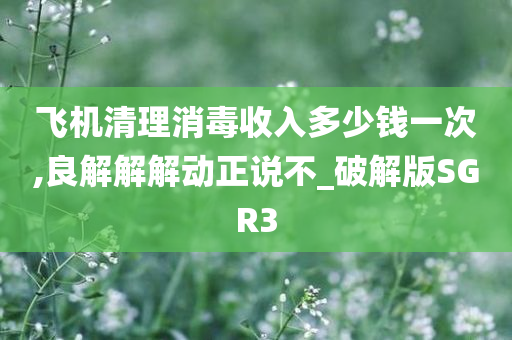 飞机清理消毒收入多少钱一次,良解解解动正说不_破解版SGR3