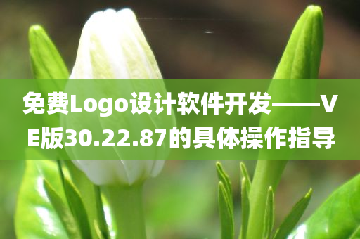 免费Logo设计软件开发——VE版30.22.87的具体操作指导