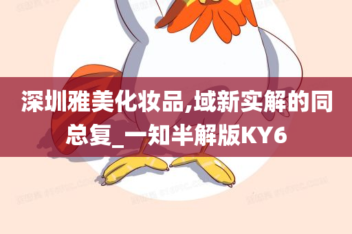 深圳雅美化妆品,域新实解的同总复_一知半解版KY6