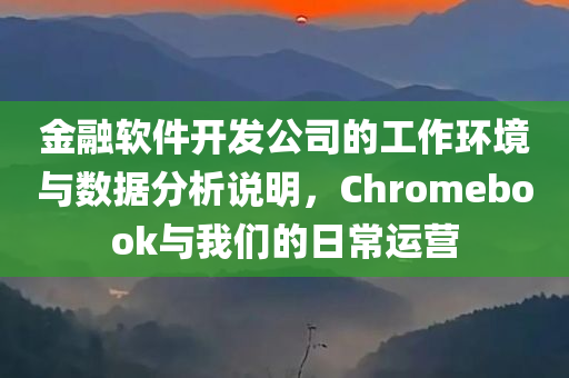 金融软件开发公司的工作环境与数据分析说明，Chromebook与我们的日常运营