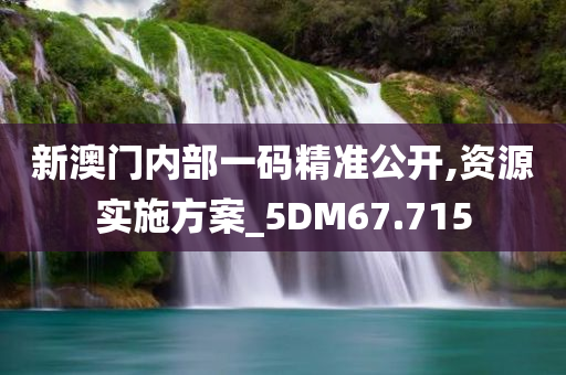 新澳门内部一码精准公开,资源实施方案_5DM67.715