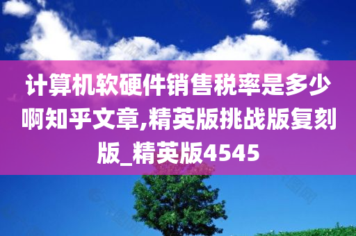 计算机软硬件销售税率是多少啊知乎文章,精英版挑战版复刻版_精英版4545