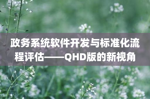 政务系统软件开发与标准化流程评估——QHD版的新视角