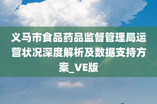 义马市食品药品监督管理局运营状况深度解析及数据支持方案_VE版