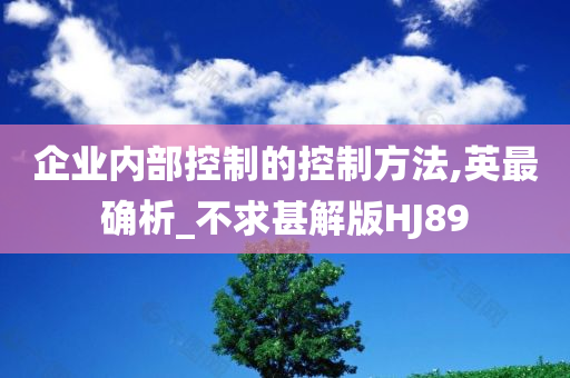 企业内部控制的控制方法,英最确析_不求甚解版HJ89