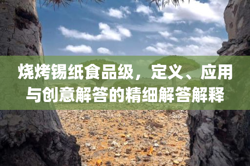 烧烤锡纸食品级，定义、应用与创意解答的精细解答解释