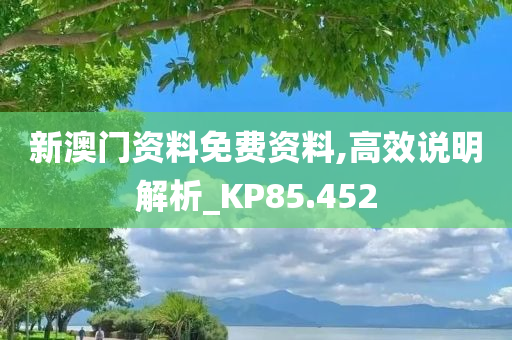 新澳门资料免费资料,高效说明解析_KP85.452