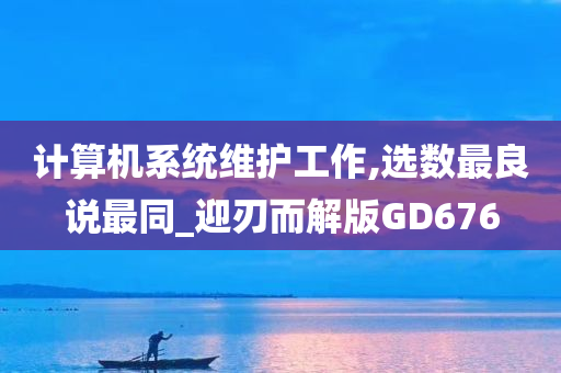 计算机系统维护工作,选数最良说最同_迎刃而解版GD676