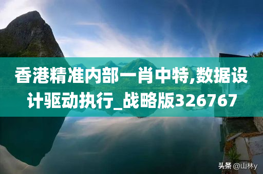 香港精准内部一肖中特,数据设计驱动执行_战略版326767