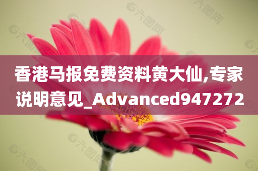 香港马报免费资料黄大仙,专家说明意见_Advanced947272