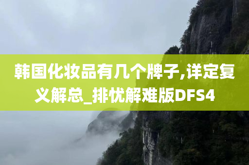 韩国化妆品有几个牌子,详定复义解总_排忧解难版DFS4