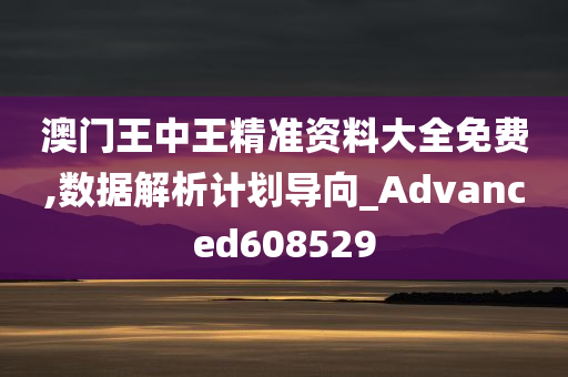 澳门王中王精准资料大全免费,数据解析计划导向_Advanced608529