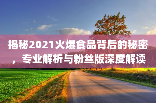 揭秘2021火爆食品背后的秘密，专业解析与粉丝版深度解读