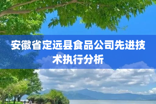 安徽省定远县食品公司先进技术执行分析