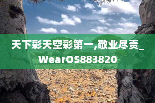 天下彩天空彩第一,敬业尽责_WearOS883820