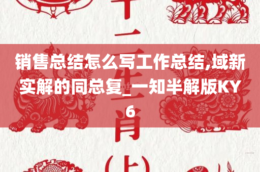 销售总结怎么写工作总结,域新实解的同总复_一知半解版KY6