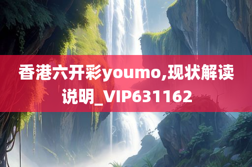 香港六开彩youmo,现状解读说明_VIP631162