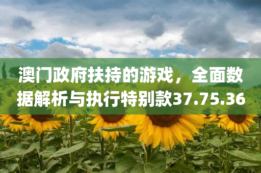 澳门政府扶持的游戏，全面数据解析与执行特别款37.75.36