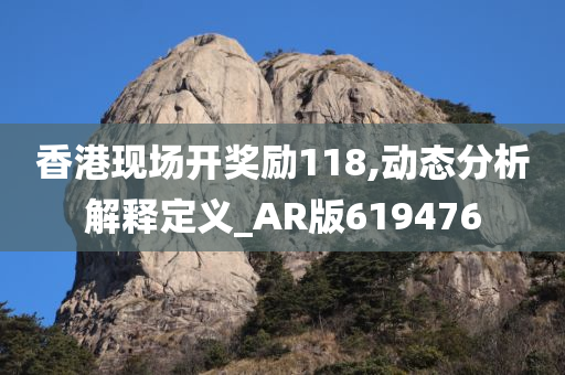 香港现场开奖励118,动态分析解释定义_AR版619476