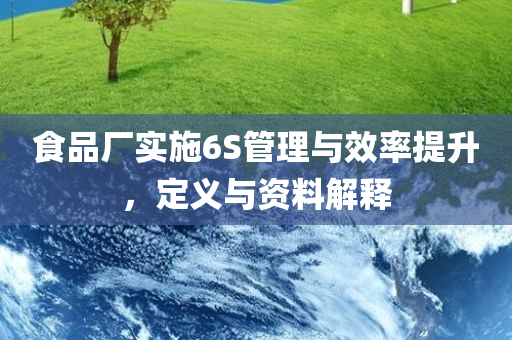 食品厂实施6S管理与效率提升，定义与资料解释