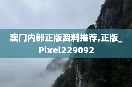 澳门内部正版资料推荐,正版_Pixel229092