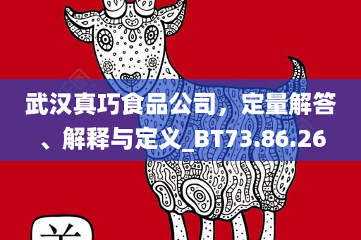 武汉真巧食品公司，定量解答、解释与定义_BT73.86.26