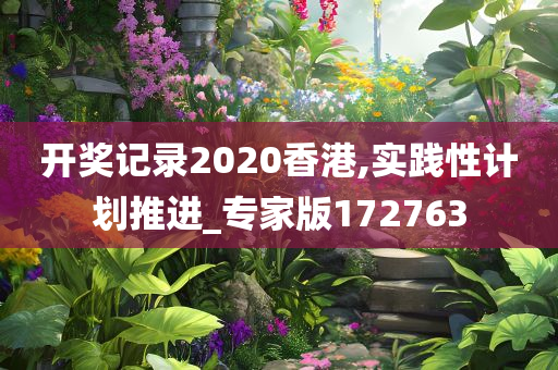 开奖记录2020香港,实践性计划推进_专家版172763