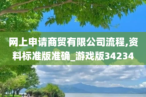 网上申请商贸有限公司流程,资料标准版准确_游戏版34234