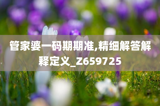 管家婆一码期期准,精细解答解释定义_Z659725