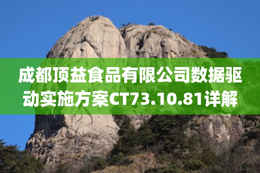 成都顶益食品有限公司数据驱动实施方案CT73.10.81详解