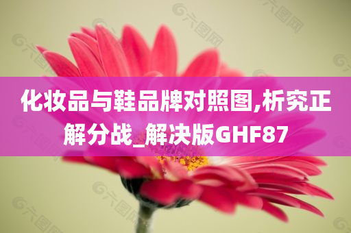 化妆品与鞋品牌对照图,析究正解分战_解决版GHF87