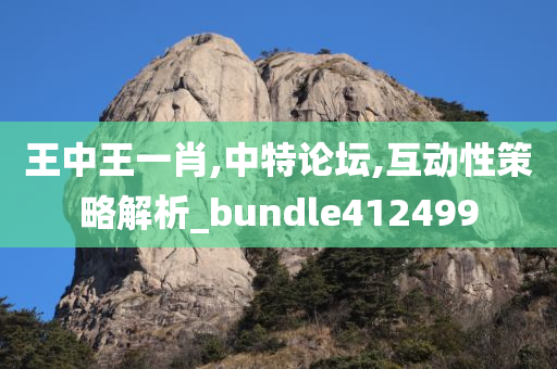 王中王一肖,中特论坛,互动性策略解析_bundle412499