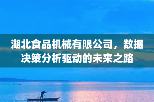 湖北食品机械有限公司，数据决策分析驱动的未来之路