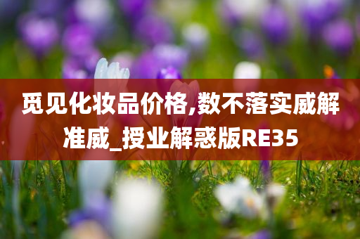 觅见化妆品价格,数不落实威解准威_授业解惑版RE35