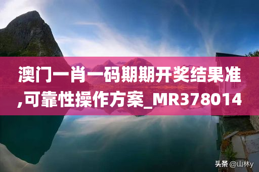 澳门一肖一码期期开奖结果准,可靠性操作方案_MR378014