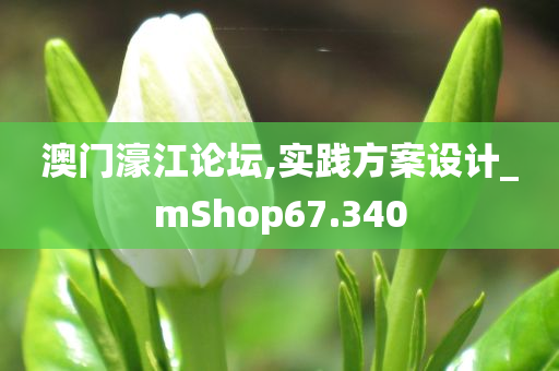 澳门濠江论坛,实践方案设计_mShop67.340