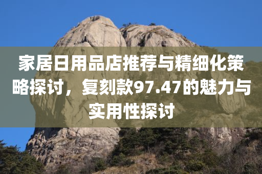 家居日用品店推荐与精细化策略探讨，复刻款97.47的魅力与实用性探讨